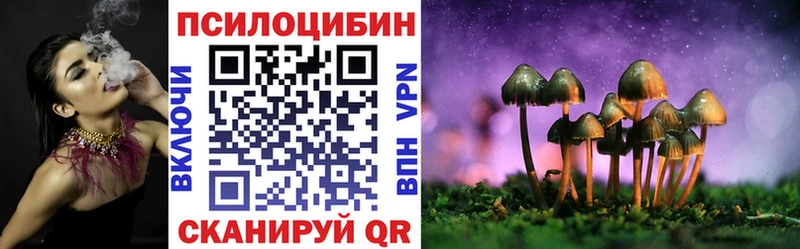 Псилоцибиновые грибы Cubensis  Купить  Нововоронеж 