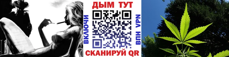 Купить закладки  Нововоронеж  Бошки Шишки марихуана 